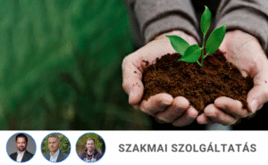 Fenntarthatóság Fenntarthatóság a mindennapokban – inspiráló előadások pedagógusoknak, szülőknek, tanulóknak