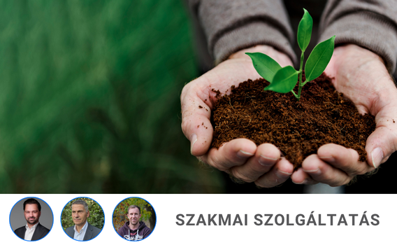 Fenntarthatóság a mindennapokban – inspiráló előadások pedagógusoknak, szülőknek, tanulóknak